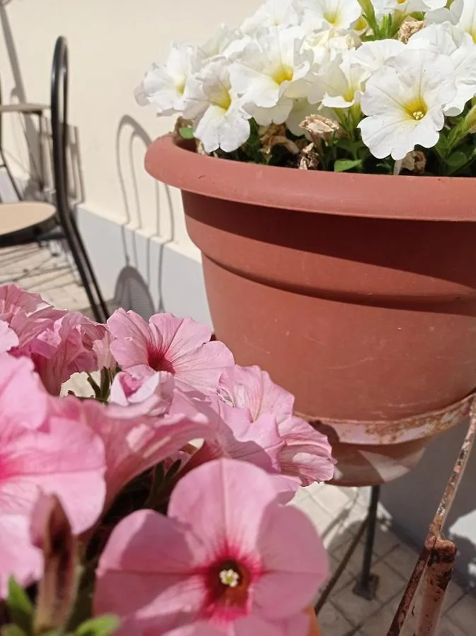Bed & Breakfast B&B Toscana Pisa Italy