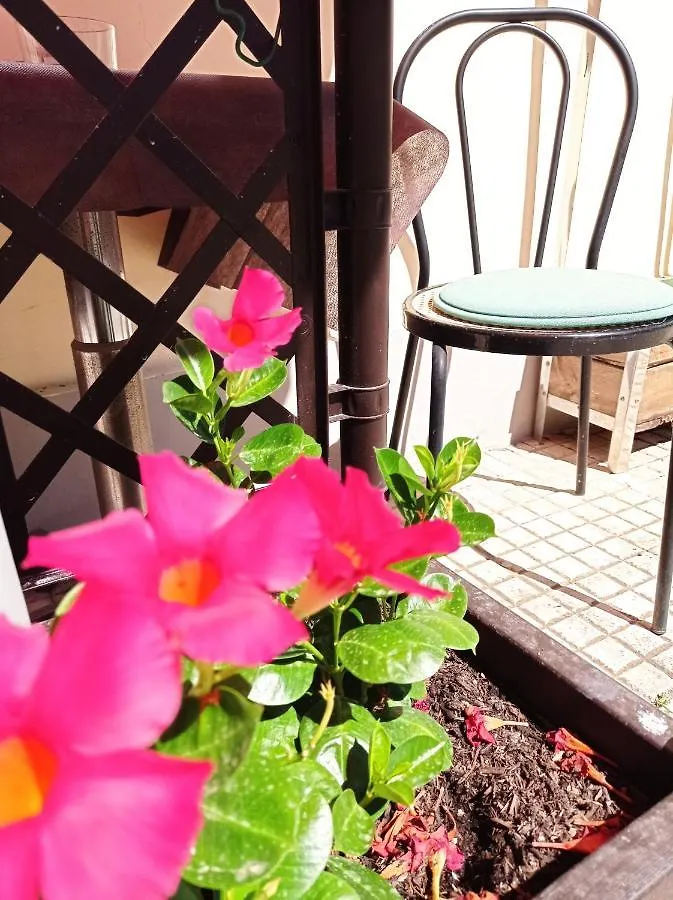 B&B Toscana Pisa